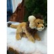 Peluche Lion 32 cm