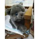 Peluche Chaton Gris 20 cm