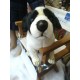 Peluche Border Collie 25 cm