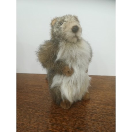 Peluche Marmotte