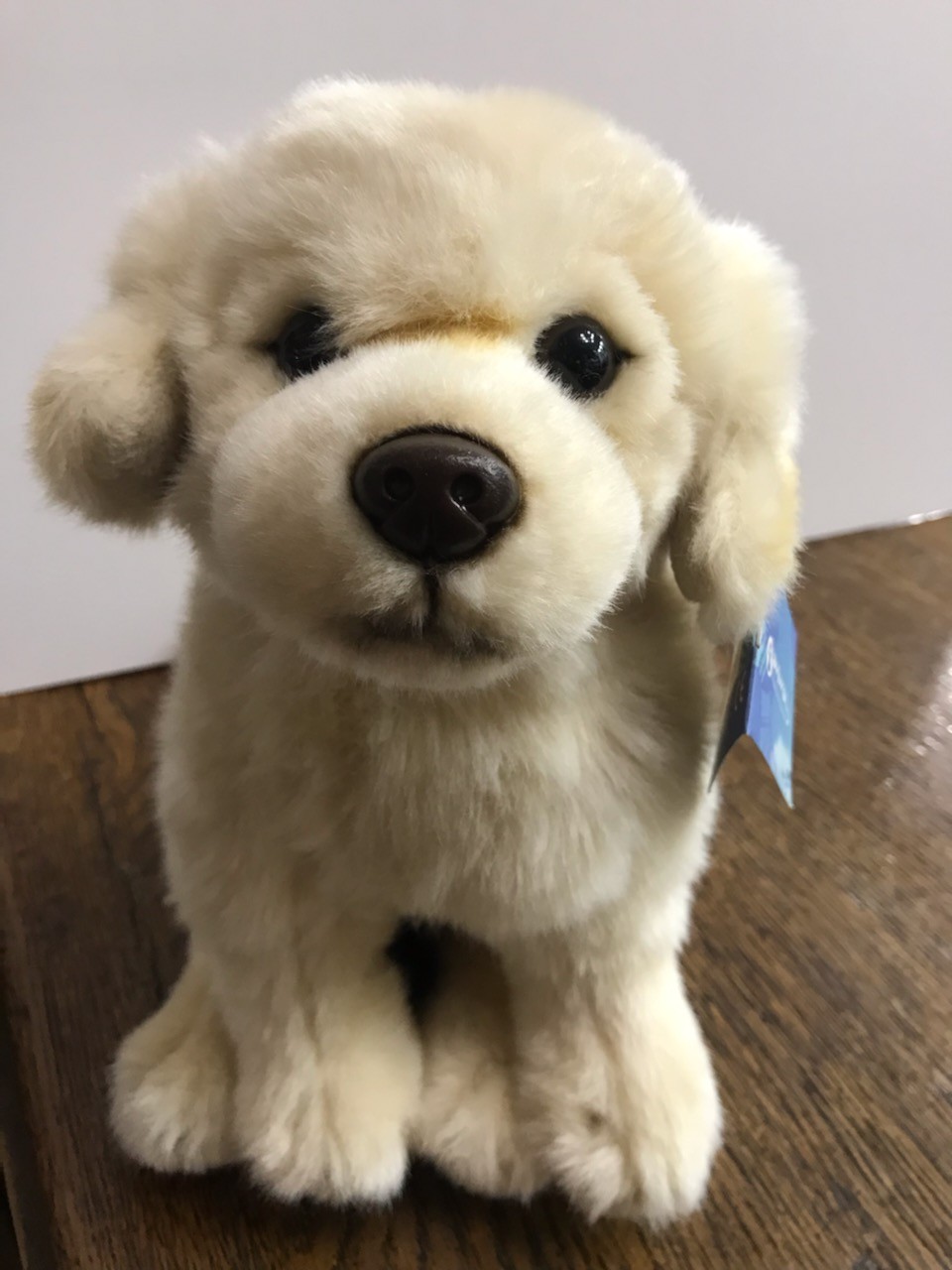 Golden Retriever chien un jouet en peluche de 8 pouces à 20inch  personnalisé - Chine Golden Retriever chien en peluche et de somptueux  chien en peluche personnalisée prix