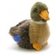 Canard colvert 