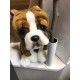 Peluche Chien Boxer 30 cm