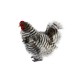 Peluche Poule Japonaise 28 cm