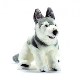 Peluche Chien Husky 42 cm