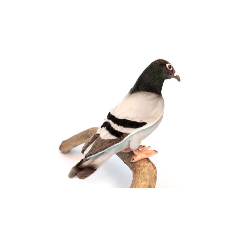 Peluche Pigeon, Oreiller Colombe, Oiseau, Coussin, Perroquet, Cadeau  Hauteur 36 cm 14,20 pouces, Largeur 32 cm 12,60 pouces -  France