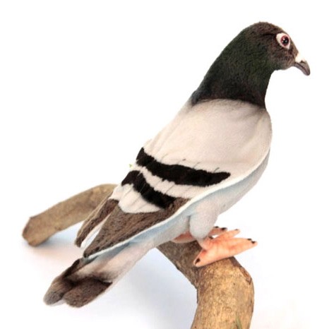 Peluche pigeon 29 cm  Peluches et doudous en ligne sur