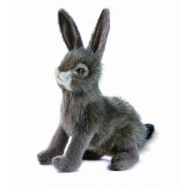 Hare Soft Toy 22 cm (0.72 ft)