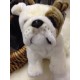 Peluche Bouledogue 30 cm