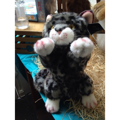 Peluche Chat Tigre Dresse 23 Cm Au Gardenia