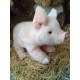 Peluche Cochon 20 cm